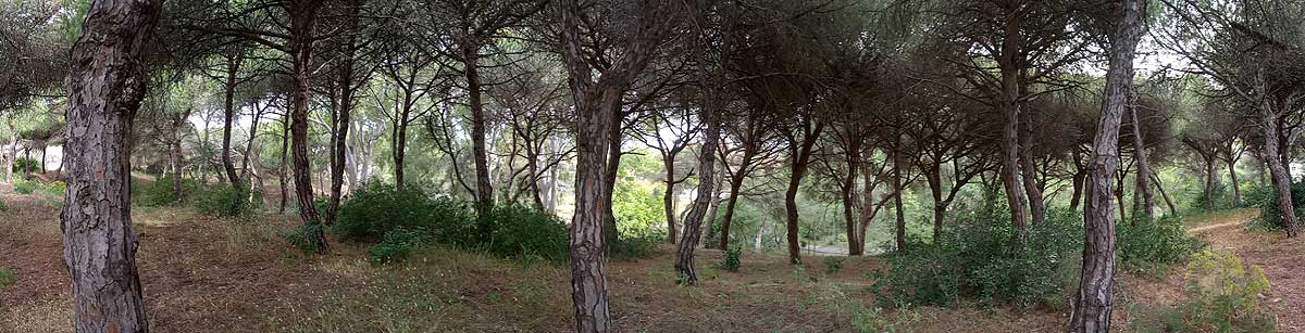 Parque Natural de la Almadraba, Rota