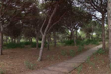 Parque Natural de la Almadraba