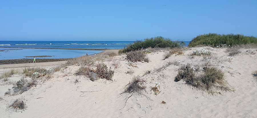 Playa nudista, en la curva que forma la costa entre la Playa de los Corrales y la Playa de Punta Candor
