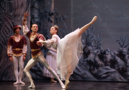 El lago de los cisnes