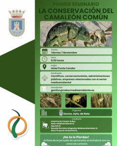 Primer Seminario sobre la Conservación del Camaleón Común