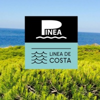 Exposición Pinea Línea de Costa (Artistas residentes)